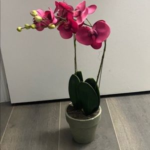 Great for House decoration